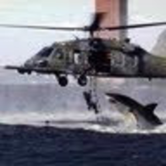 Meet your Posher, Albert - Picture 1 of 1